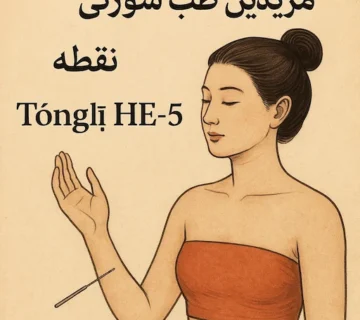نقطه تونگلی HE-5 در طب سوزنی روی مریدین قلب