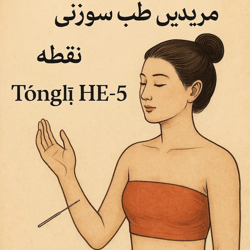 نقطه تونگ‌لی HE-5 در طب سوزنی روی مریدین قلب